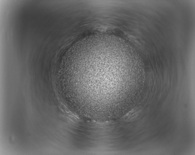 X0000070191105200606091525