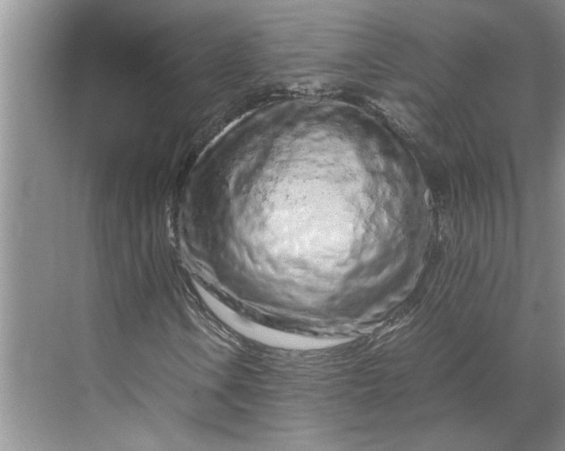 X0000070191106200606091525