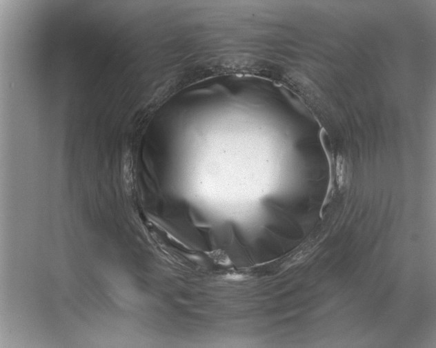 X0000070191107200606091525