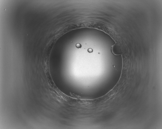 X0000070191109200606091525