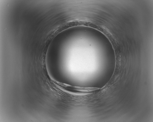 X0000070191110200606091525