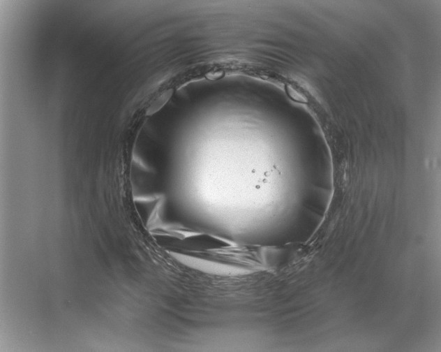 X0000070191111200606091525