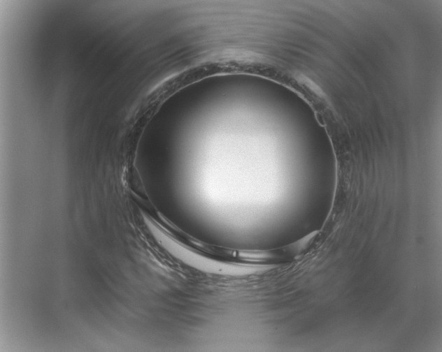 X0000070191112200606091525