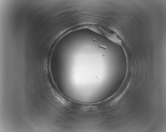 X0000070191113200606091525