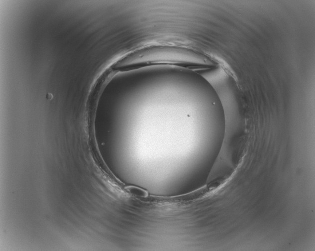 X0000070191114200606091525