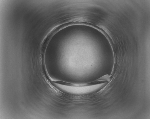 X0000070191115200606091525