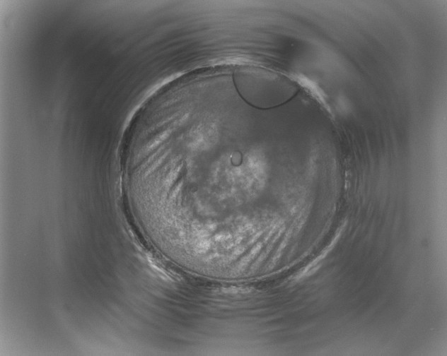 X0000070191117200606091525