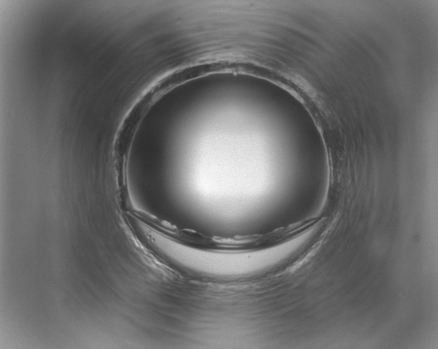 X0000070191118200606091525