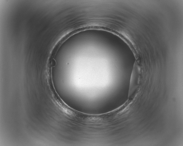 X0000070191119200606091525