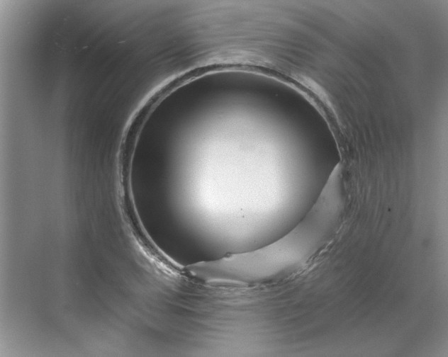 X0000070191120200606091525