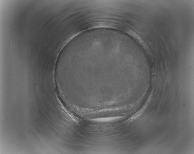 X0000070191121200606091525