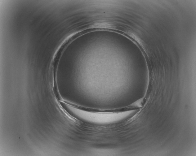 X0000070191123200606091525