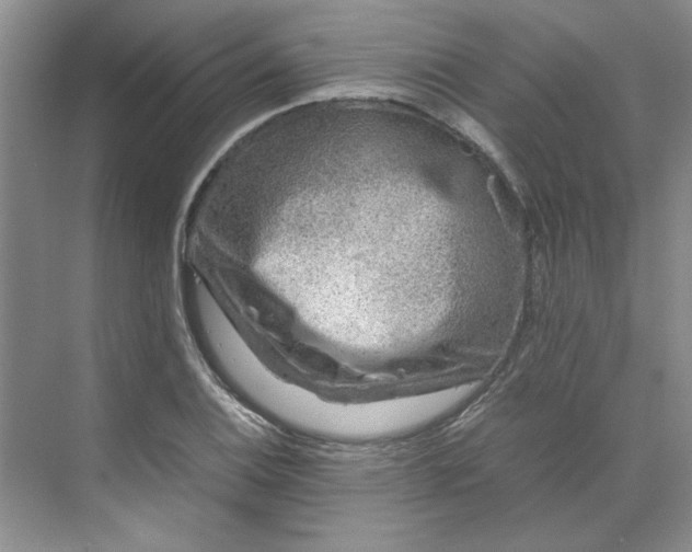 X0000070191124200606091525