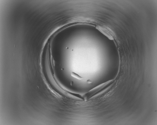 X0000070191128200606091525