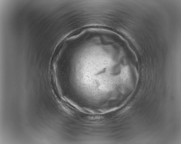 X0000070191129200606091525