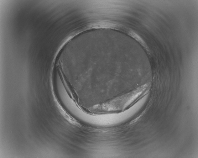 X0000070191130200606091525