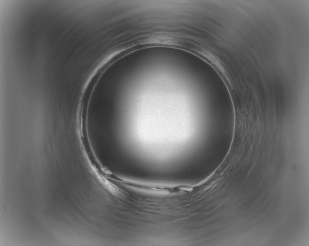 X0000070191131200606091525