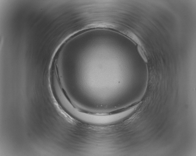 X0000070191132200606091526