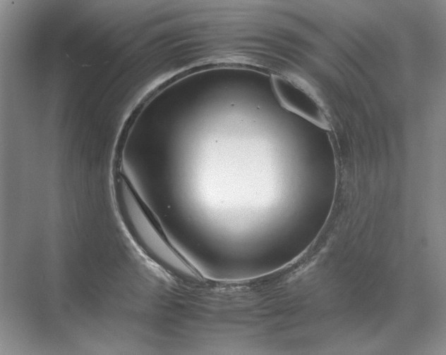 X0000070191133200606091526