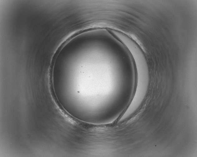 X0000070191134200606091526