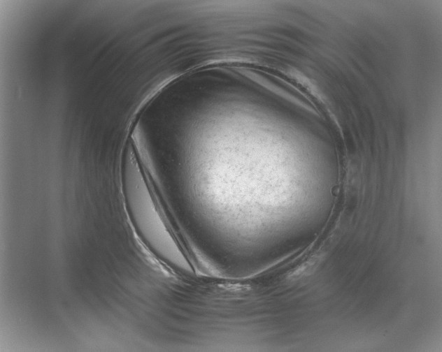 X0000070191137200606091526