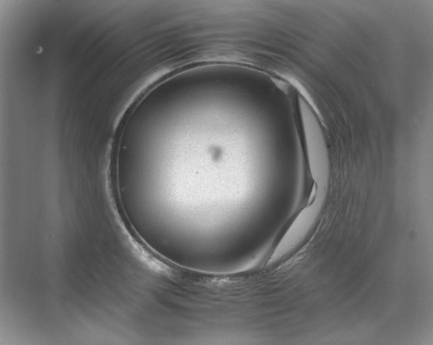 X0000070191139200606091526