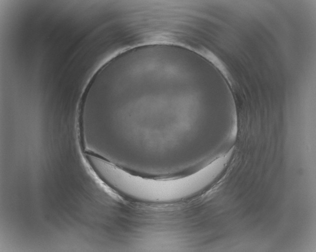 X0000070191142200606091526