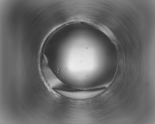 X0000070191144200606091526