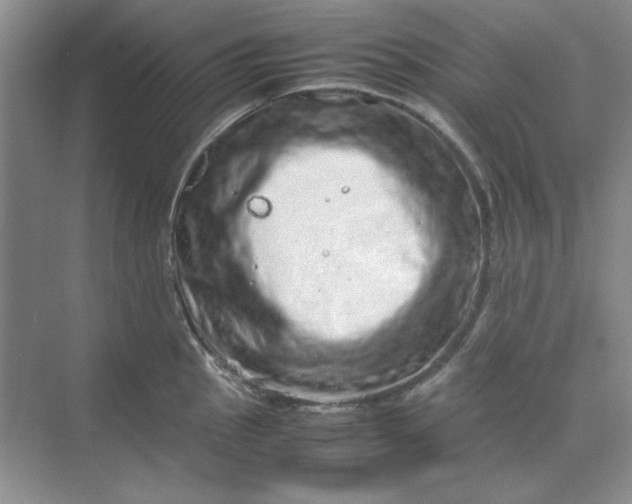 X0000070191145200606091526