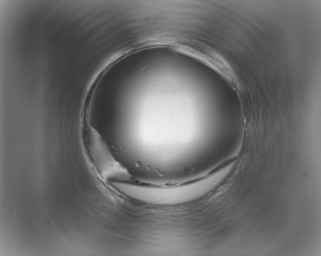 X0000070191146200606091526