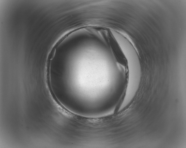 X0000070191147200606091526