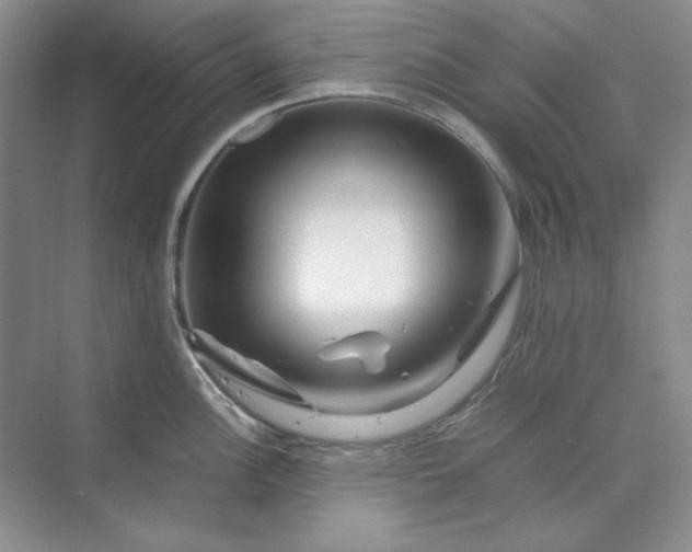 X0000070191148200606091526