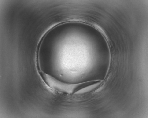 X0000070191149200606091526