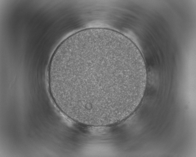 X0000070191150200606091526