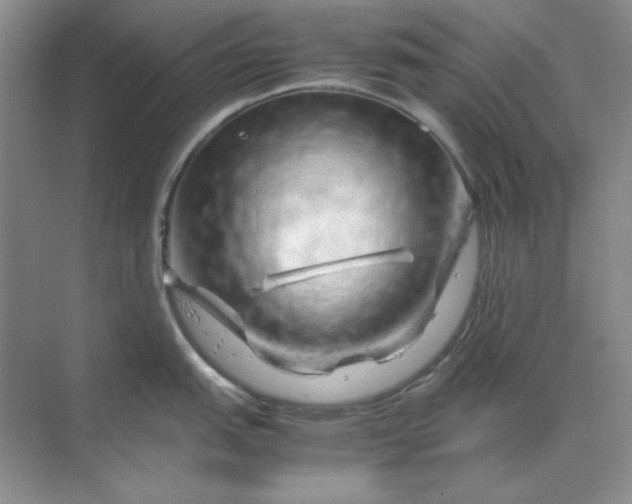 X0000070191151200606091526