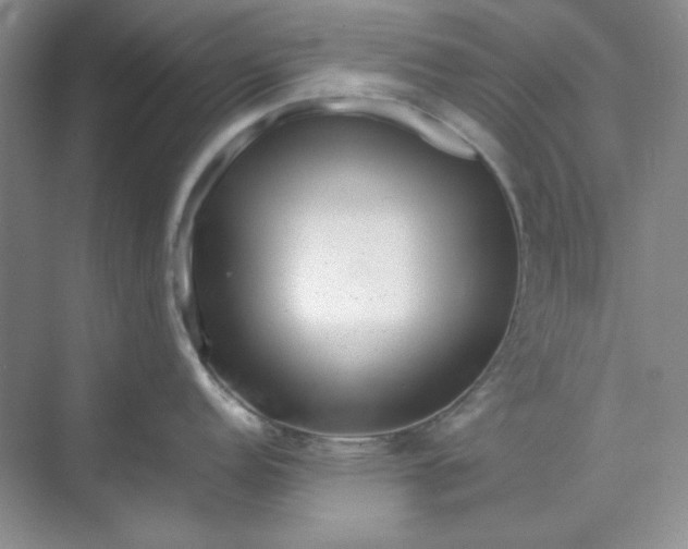 X0000070191152200606091526