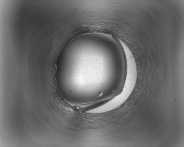 X0000070191153200606091525