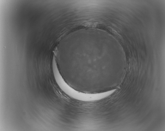 X0000070191154200606091525