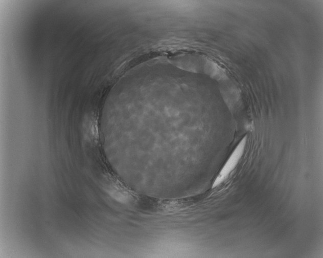 X0000070191155200606091525