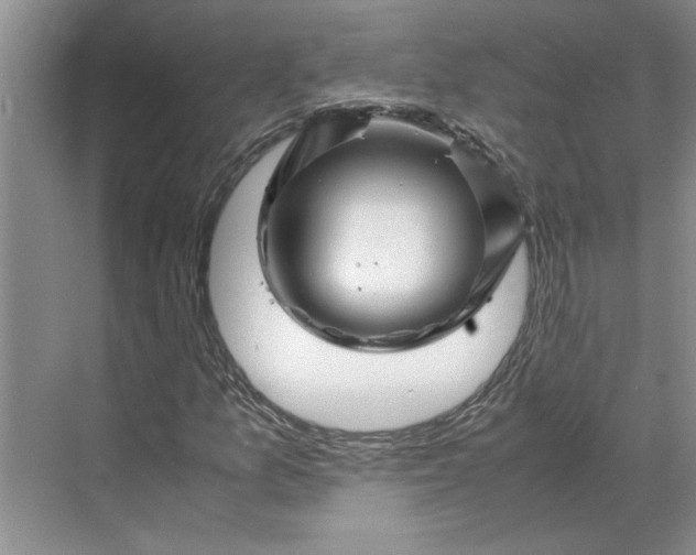 X0000070191157200606091525