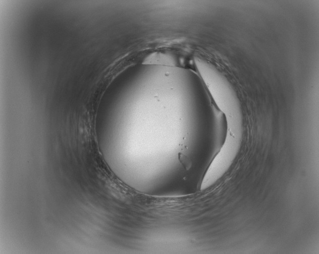 X0000070191158200606091525