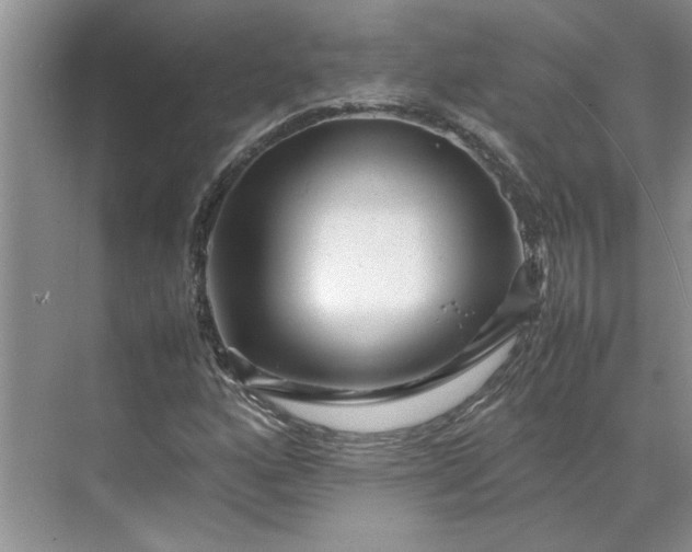 X0000070191160200606091525