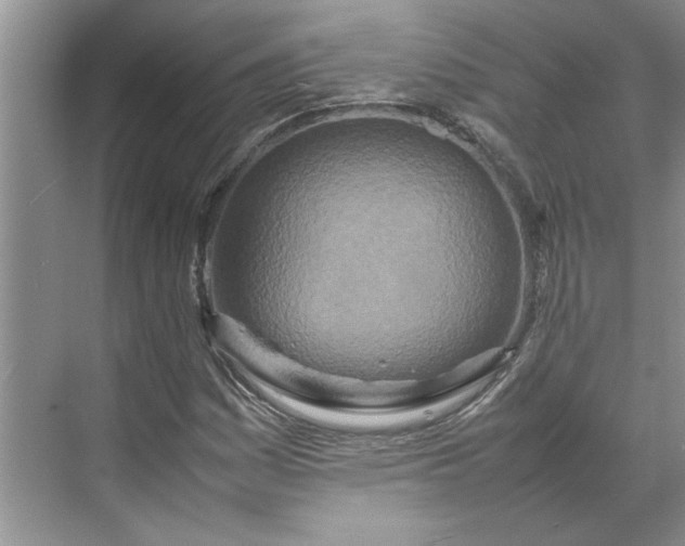 X0000070191161200606091525