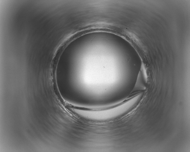 X0000070191164200606091525