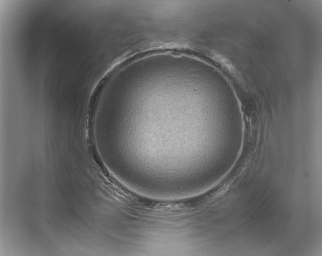 X0000070191165200606091525