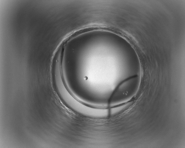 X0000070191168200606091525