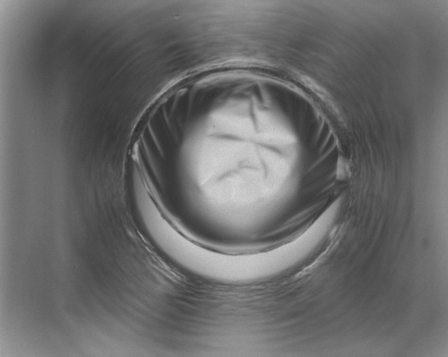 X0000070191170200606091525