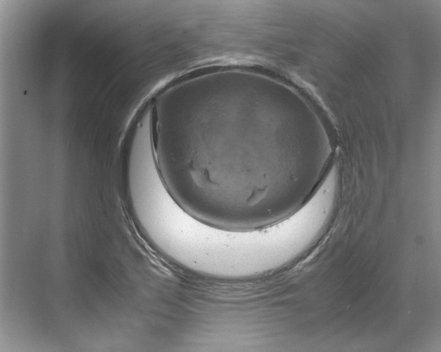 X0000070191171200606091525