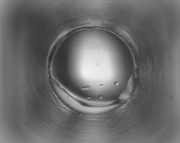 X0000070191172200606091525