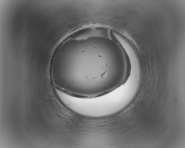 X0000070191173200606091525